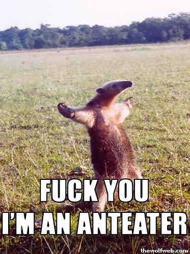 Fuck You Im A Anteater 112