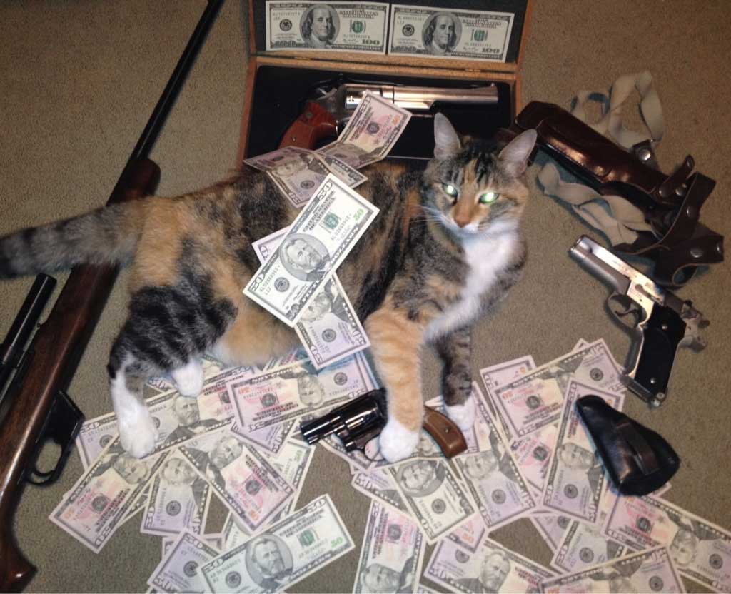 Cats With Cash