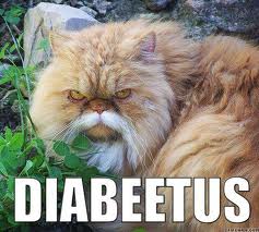 Diabeetus-Cat