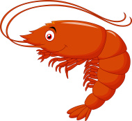 cartoon-shrimp