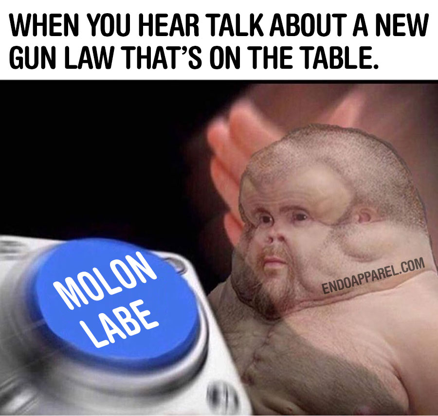 new-gun-law-molon-labe